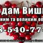 Реализую вишню - фото № 1