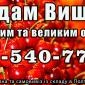 Продаю вишню - фото № 1