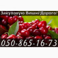Куплю вишню на постійній основі - фото № 1