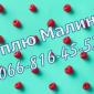 На постоянной основе закупаю свежую малину - фото № 1