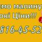 На постійній основі закуповую свіжу малину від населення та заготувачів - фото № 1