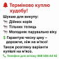 Закупка КРС дорого - фото № 1