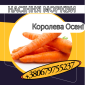 Насіння Моркви Королева Осені. Насіння Моркви - фото № 1