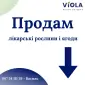 Продам лікарські РОСЛИНИ | ОПТ (лік трави і ягоди) - фото № 1
