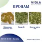 Продам лікарські РОСЛИНИ | ОПТ (лік трави і ягоди) - фото № 2