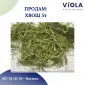 Продам лікарські РОСЛИНИ | ОПТ (лік трави і ягоди) - фото № 4