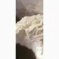 Сухе молоко вищий гатунок. Вигот по ДСТУ (ГОСТ) - фото № 1
