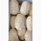Продам масло домашнє сметана сепараторна гурт - фото № 2