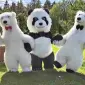 Надувной костюм «Белый Медведь» от производителя - фото № 2