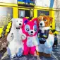 Надувной костюм «Белый Медведь» от производителя - фото № 3