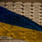 Продажа свекловичного сахара оптом мешки 50 кг - фото № 1