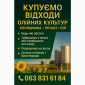 Покупаем отходы масличных культур - фото № 1
