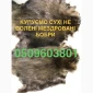 Покупаем сухие шкурки бобра дорого - фото № 1