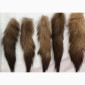 Хвосты куницы в продаже - фото № 1