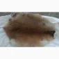 Продається хутро лисиці - фото № 16