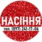Насіння кукурудзи ДБ Хотин (ФАО 280) від виробника - фото № 2