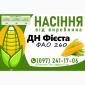 Насіння кукурудзи 2025 – гібрид ДН Фієста (ФАО 260) от производителя - фото № 1