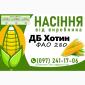 Насіння кукурудзи ДБ Хотин (ФАО 280) 2025 року від виробника - фото № 1