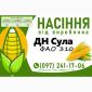 Насіння кукурудзи ДН Сула (ФАО 310) на 2025 рік від виробника - фото № 1