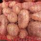 Продаю картофель Пикассо,Ривьера,Коломбо,Тирас - фото № 1
