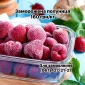 Пропонується заморожена полуниця 1-го сорту (шокова заморозка) - фото № 2