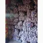 Продам картофель от населения - фото № 2