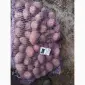 Продам товарный картофель - фото № 1
