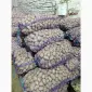 Продам семенной картофель Гранада ll - репродукции - фото № 4