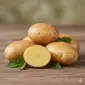 Семенной картофель Ривьера 1-2 репродукция - фото № 1