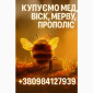 Покупаем мед без антибиотиков - фото № 1