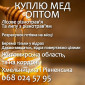 Куплю мед оптом в Хмельницком - фото № 1