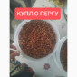 Закупка перги оптом - фото № 1