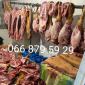 Продам м'ясо свинини туші свиней - фото № 1