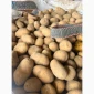 Продам картоплю товарну з Польщі - фото № 1
