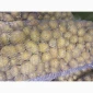 Продам семенной картофель сорта Ривьера - фото № 1