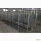 Боксы для содержания свиноматок - фото № 1