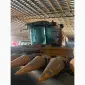 Куплю жатки дисковая борона сеялка плуг культиватор трактора комбайны Очиститель ОВС-25 С - фото № 5