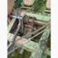 Продам сівалку точного висіву John Deere 7000 - фото № 3