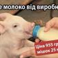 Корм сухе молоко для поросят телят БМВД - фото № 1