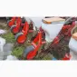 Сівалка точного висіву вакуумна Agromaster Planter А8 - фото № 13