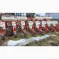 Сівалка точного висіву вакуумна Agromaster Planter А8 - фото № 14