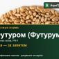 Пшениця Футуром (Футурум) — насіння еліта, РН-1 - фото № 1