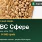 Пшениця КВС Сфера — насіння, від 14 800 грн/т - фото № 1