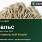 Насіння жита Вальс - фото № 1