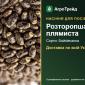 Продам насіння розторопші плямистої - фото № 1