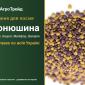 Продам насіння конюшини - фото № 1