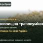 Пасовищна травосумішка для культурних пасовищ - фото № 1