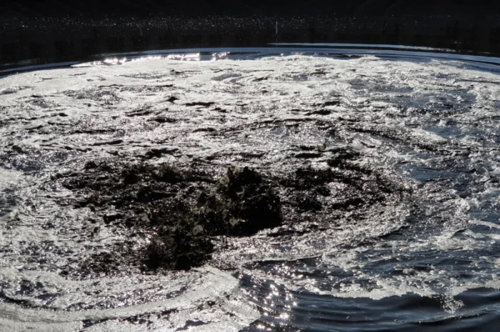 Погружной миксер для навоза Stallkamp TMR3D (Германия)- фото № 4