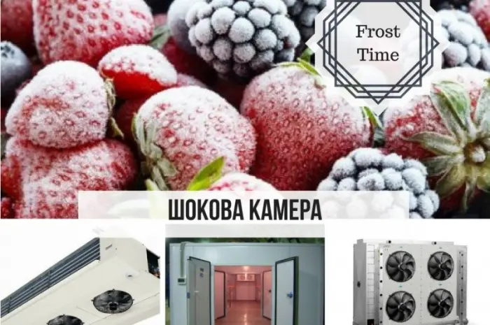 Шокова камера- фото № 3