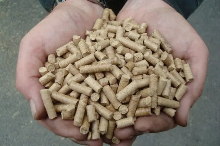 Пресс - грануляторы биомассы MG 100/200/400/600/800/1000 (Чехия)- фото № 6